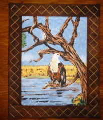 CCQ0432 - Picture Frames - Larger Size