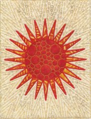 CCQ5016 - Sizzling Sun