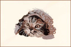 Kitten in a Blanket