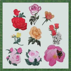 BFC0300 Watercolor Roses