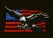BFC31756 Patriotic Eagle on Black no.2