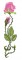 Art Nouveau Tall Rose