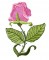 Art Nouveau Medium Rose