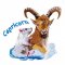 BFC31535 Capricorn