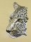 BFC01002 Safari Series-Leopard