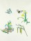BFC1003  Calendar Shoes Accessory Pack -03