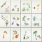 BFC1003 Calendar Shoes Accessory Pack