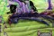 BFC1005 Fantasy Ladies - Fairy Witchery
