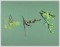 BFC1011 Waterfall of the Leaves Art Quilt