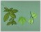 BFC1011 Waterfall of the Leaves Art Quilt