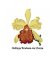 RMG1019 Vvintage Orchid