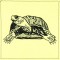 BFC1020 Quiltables - Pets