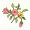 BFC1027 Persian Flowers and Birds Quilt Set