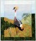 BFC1029 Large Gray Crowned Gray Crane