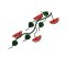 RMG102 Watermelon Vine
