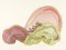 BFC1032 Japanese Fantasy Garden Art Quilt