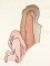 BFC1032 Japanese Fantasy Garden Art Quilt