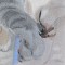 BFC1037 Window-A Long Day-4 Kittens