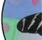 BFC1039 Window Zebra Longwing Butterfly