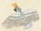 BFC1041 Art Nouveau Cockatoos Plus