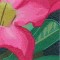 BFC1042 Window-Desert Roses