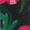 BFC1042 Window-Desert Roses