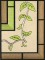 BFC1043 QIH or Reg Stained Glass Cockatoos