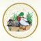 BFC01049 QIH and Reg Stippled Duck Quilt Set