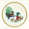 BFC01049 QIH and Reg Stippled Duck Quilt Set