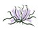 RMG105 Waterfall Lily