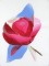 BFC1053 Flowers and Their Meanings