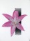 BFC1053 Flowers and Their Meanings