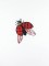 BFC1054 Ching Chou's Little Red Riding Hood