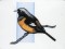 BFC1055 Birds in an Oriental Manner
