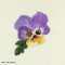 BFC1058 Pansy Super Tote