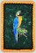 BFC1060 Large Blue and Gold Macaw