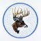BFC01062 QIH/ Reg Stippled Forest Animals Quilt Set