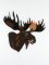 BFC01062 QIH/ Reg Stippled Forest Animals Quilt Set