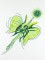 BFC1065 Sally King's Leaf Fairy - 2 Versions