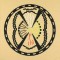 BFC1066 Southwestern Quilt Circles II