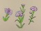 BFC1084 Ching Chou's Flower Ladies