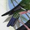 BFC1085 Window- Two Hummingbirds