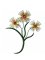 RMG109 Moonburst Flower