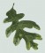 BFC1091 QIH Leafy Hobo Handbag