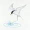 BFC1093 Sally King's Nautical Trio