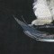 BFC1095 Window-Kitten in a Bowl