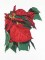 BFC1099 Large Poinsettia Bouquet
