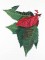 BFC1099 Large Poinsettia Bouquet