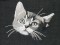 BFC1100 Large Kittens
