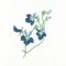 BFC1108 Wildflowers Art Quilt